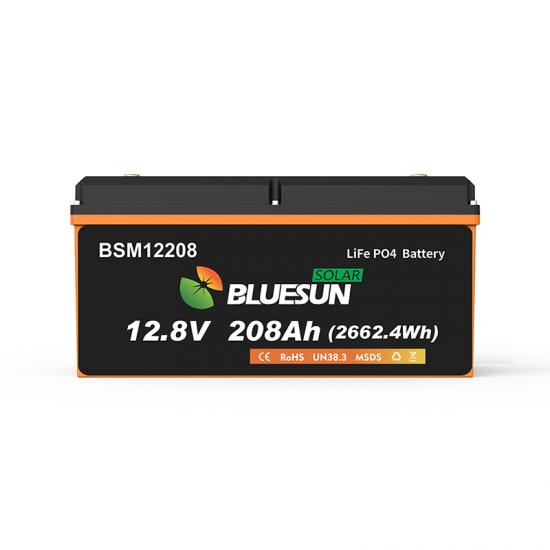 12V 24V Lifepo4 Battery