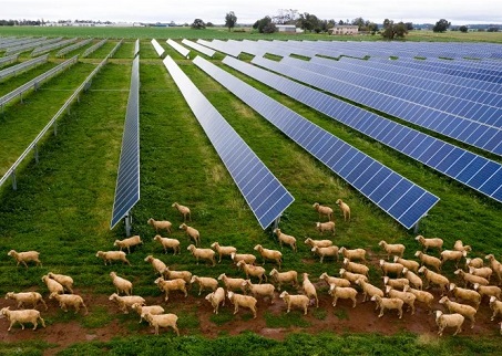 Italien formuliert neue Vorschriften für innovative landwirtschaftliche Photovoltaikindustrie